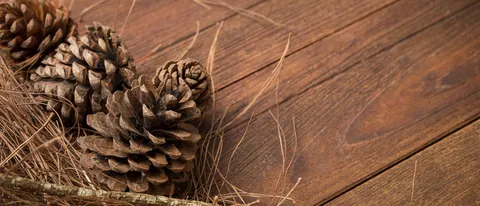 Pinecone, primo processore octa core di Xiaomi