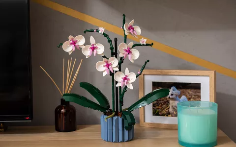 Set LEGO di Orchidee: MINI PREZZO per il bouquet SPECIALE da regalare a SAN VALENTINO