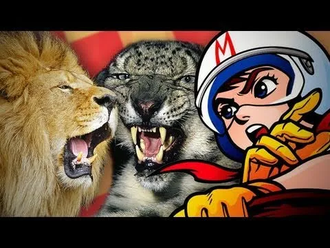 Snow Leopard vs. Lion: Which Is Faster?