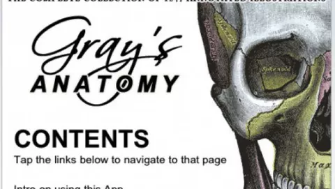 Gray's Anatomy per iPhone: atlante anatomico a prezzo stracciato