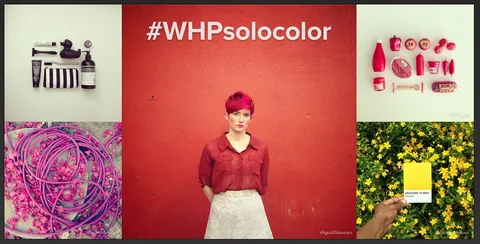 Dove stampare le foto fatte con Instagram