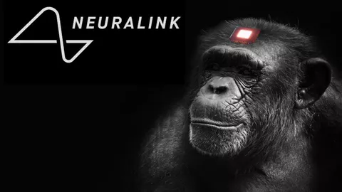 Una scimmia gioca a Pong usando la mente grazie a Neuralink