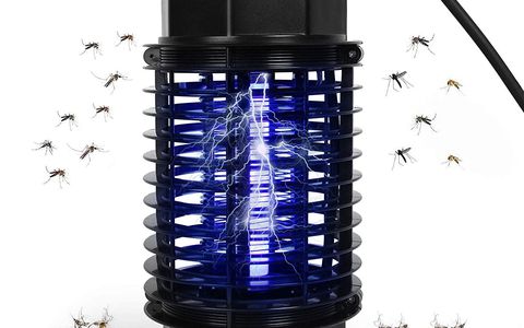 Il KILLER delle zanzare è arrivato: questa lampada le fulmina senza pietà