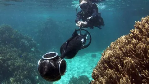 Google Seaview, un viaggio nella Barriera Corallina