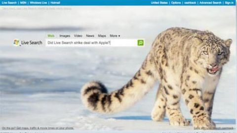 Microsoft ed il misterioso leopardo delle nevi