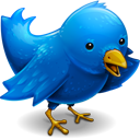 Twitter, email e cellulare: cosa non si fa per aggiornarsi!