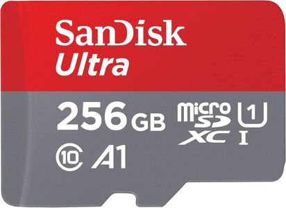 MicroSD SanDisk 256GB ultraveloce a -35%: SCONTACCIO Amazon