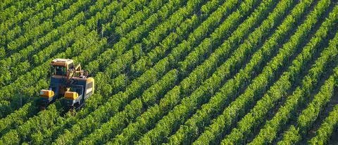 BQ Gaia: l'innovazione applicata all'agricoltura