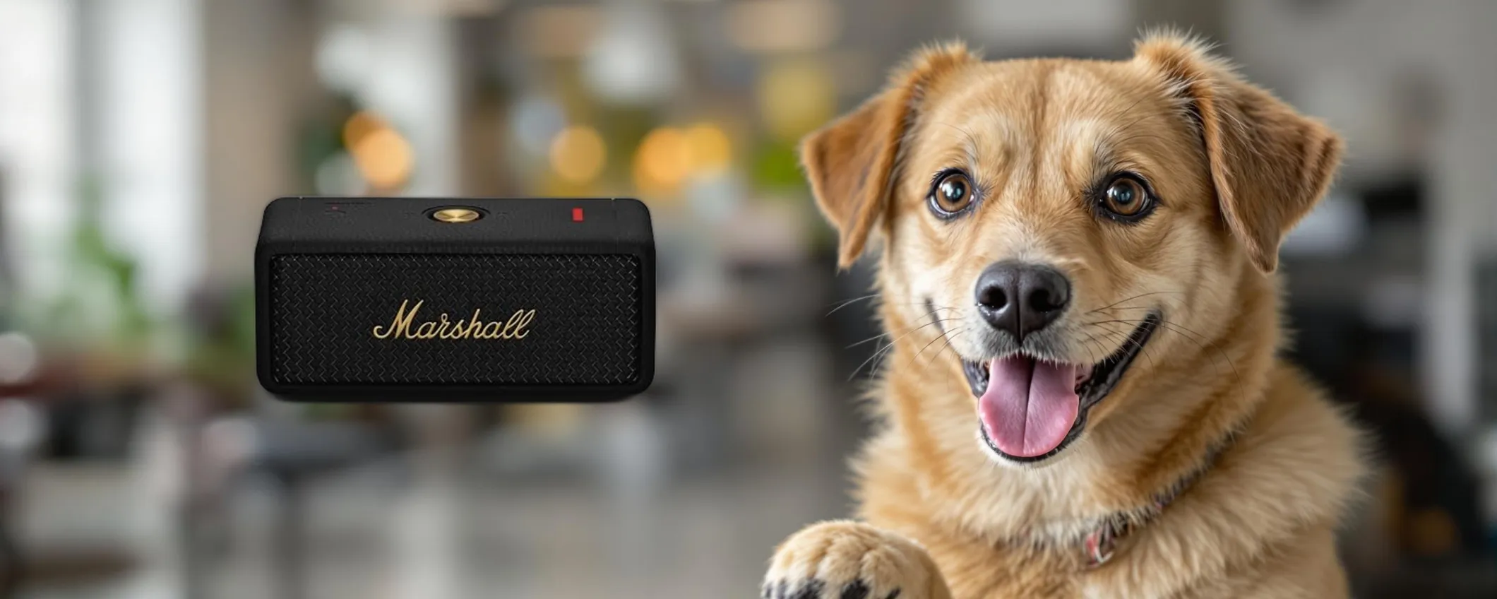 Marshall Emberton II: speaker top di gamma a meno di metà prezzo (-55%)