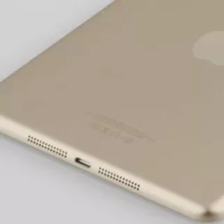 Presto un iPad Mini oro con Touch ID?
