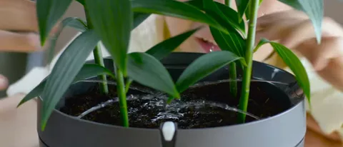 Parrot Pot, il vaso smart che annaffia le piante