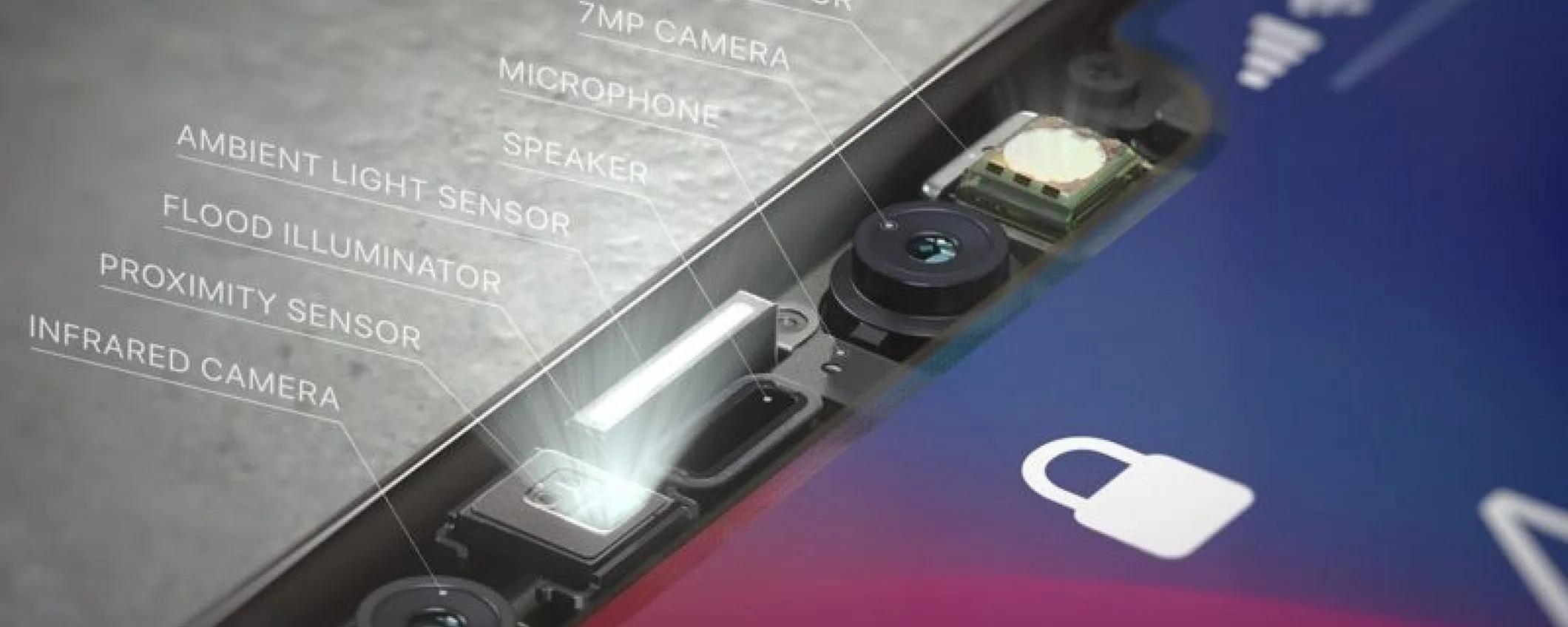 Face ID, i timori degli esperti: 