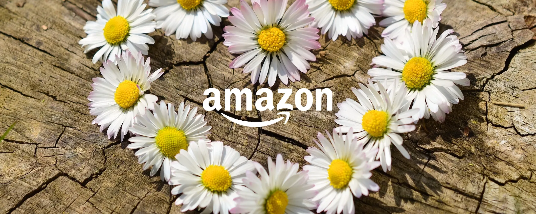Offerte di Primavera 2023: tutti i prodotti Amazon in offerta