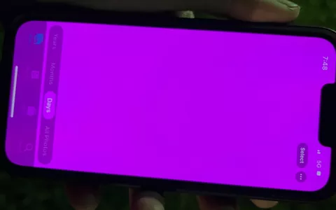 iPhone 13: lo schermo diventa rosa e lo smartphone va in crash