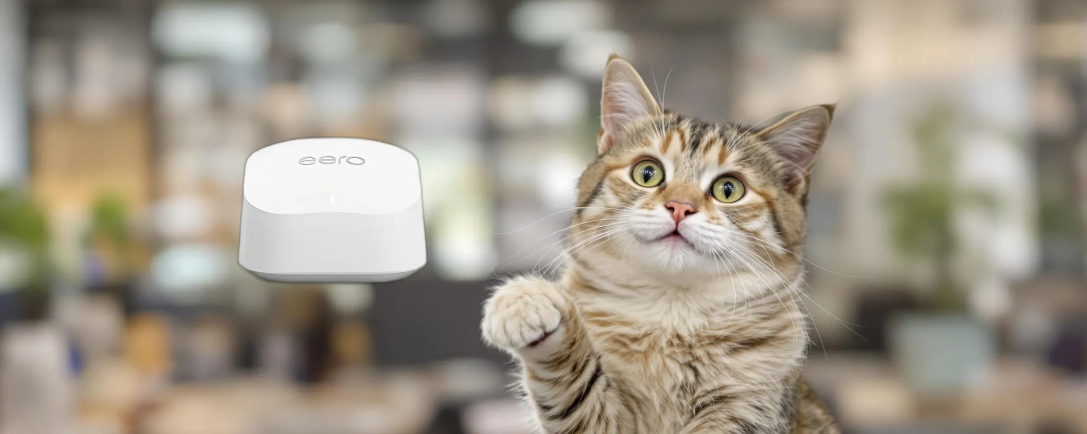Amazon eero 6+: WiFi a tutta forza con lo sconto TOP