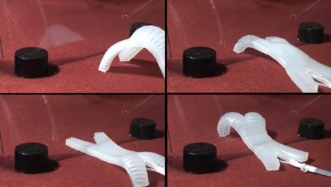 Ricercatori di Harvard realizzano un calamaro robot