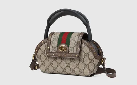 Ophidia, la custodia di Gucci per AirPods Max da 730€