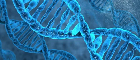 Creato un batterio artificiale con DNA esteso