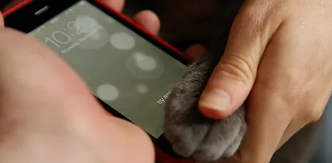 iPhone 5S: Touch ID legge le impronte animali?