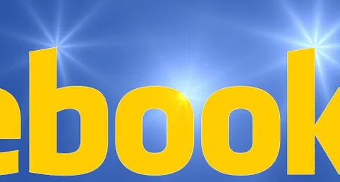 Facebook, il 2010 è d'oro