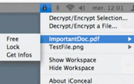 iConceal: proteggere file e cartelle con una password