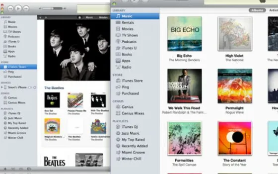 Disponibile iTunes 10.2