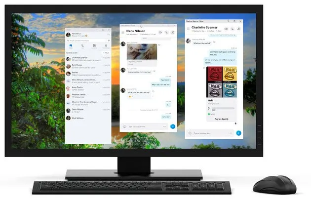 Skype slit window