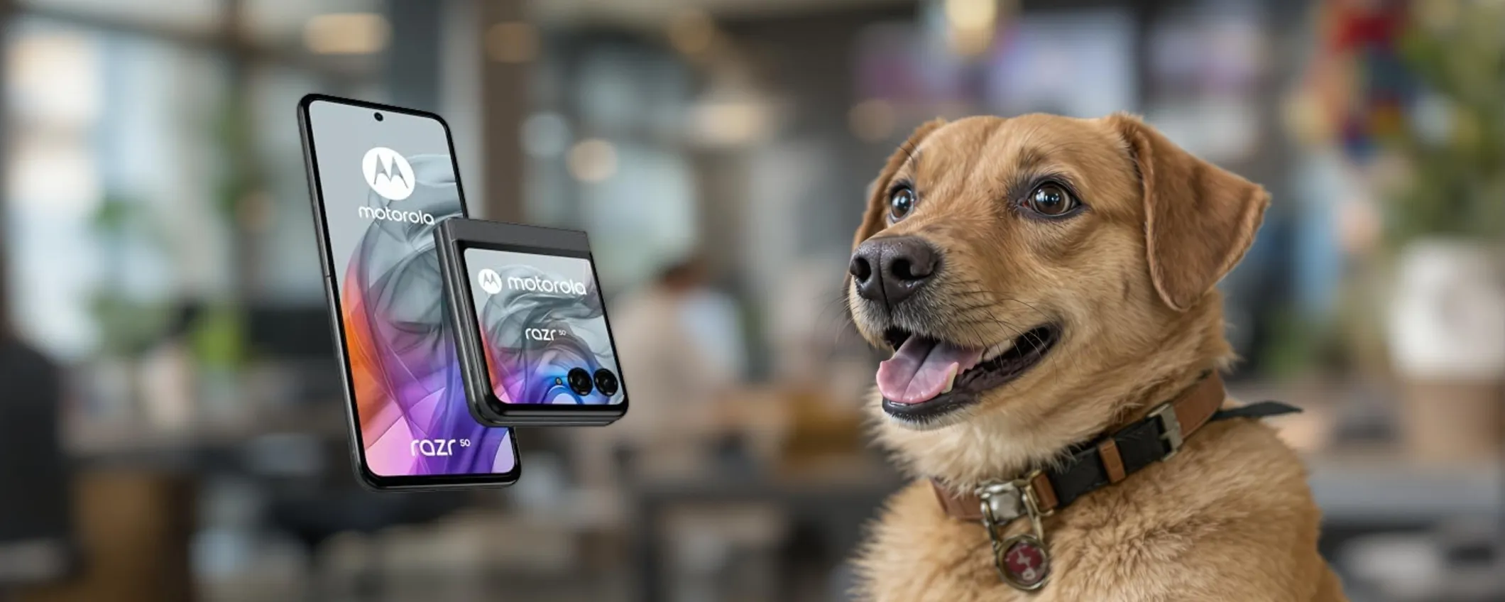 Scopri l'eleganza del Motorola Razr 50: ora con il 47% di sconto