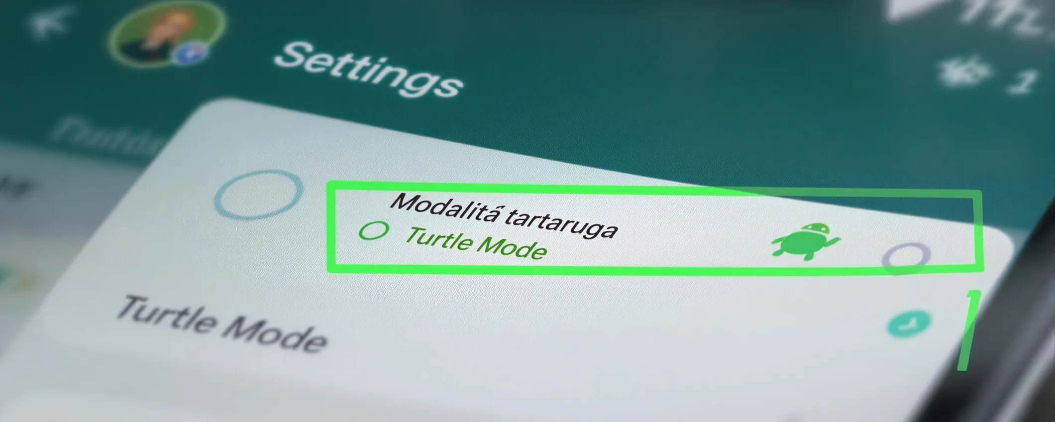 Come attivare la modalità tartaruga su WhatsApp e perché è così popolare