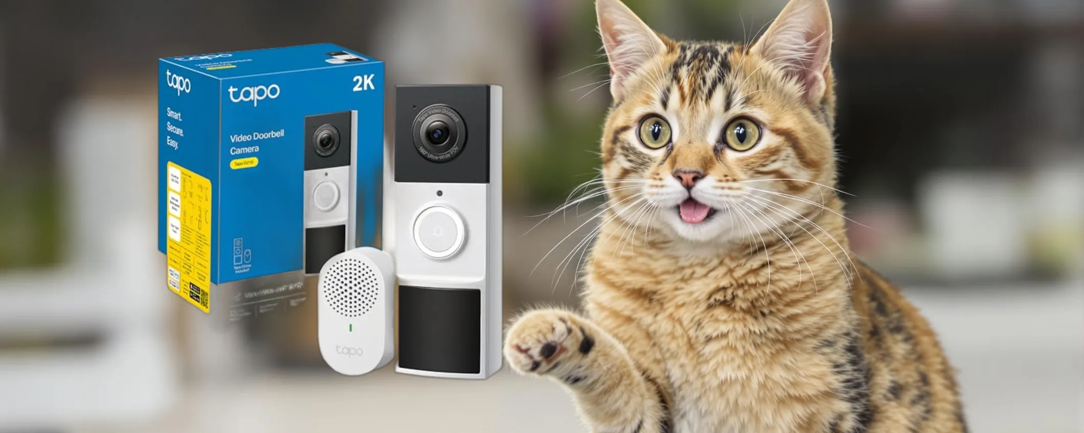 SUPER OFFERTA: Videocitofono TAPO D210 a 49,99€, risparmia il 38% ora!