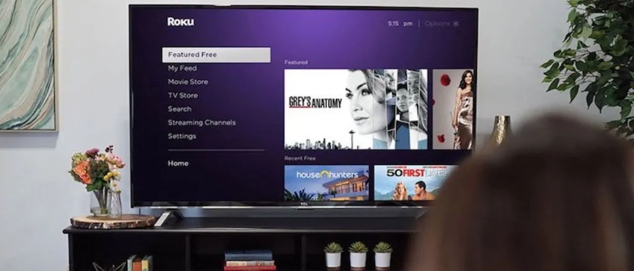 Come controllare i dispositivi Roku con Alexa