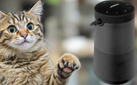 Scopri il diffusore Bose SoundLink Revolve+ II: qualità premium in promo su Amazon