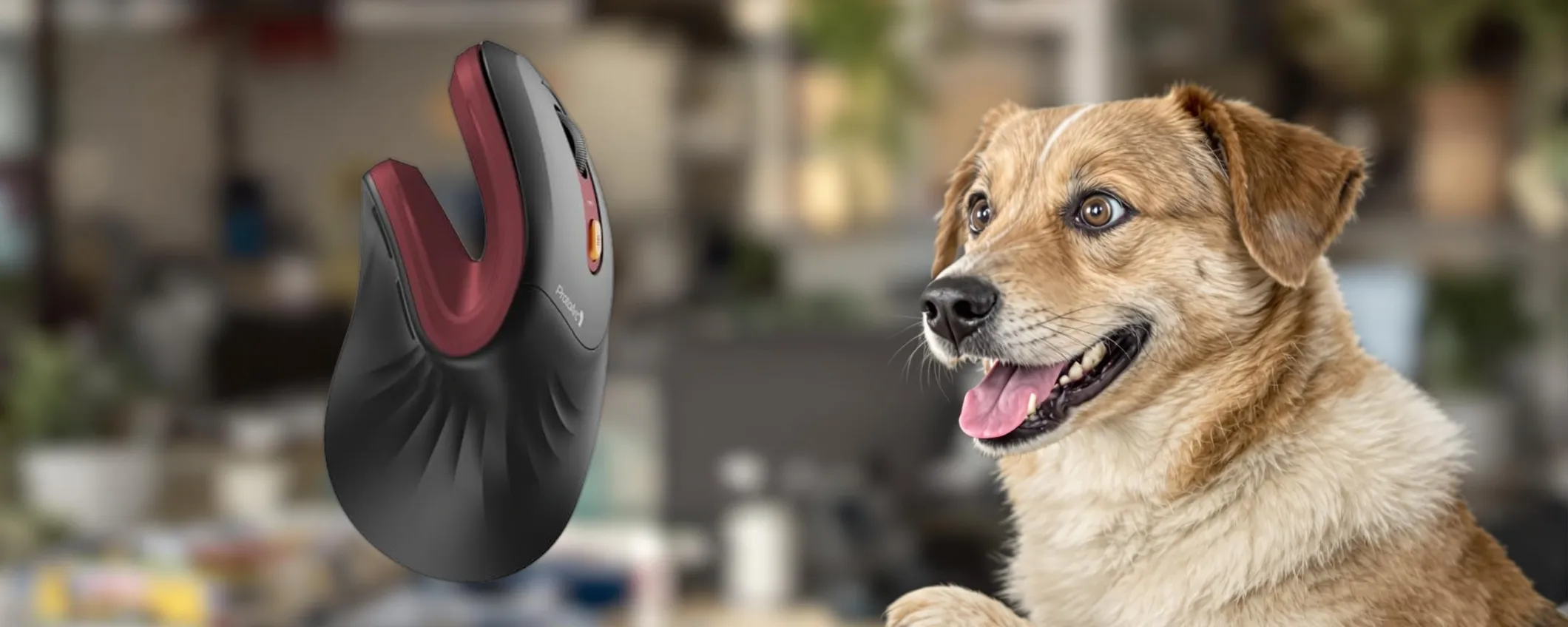 Mouse VERTICALE ergonomico ProtoArc al prezzo minimo storico su Amazon
