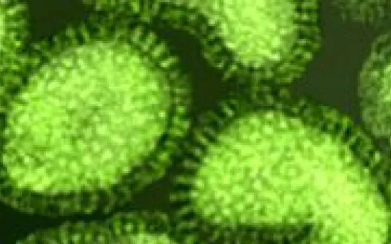 Crea un virus per Mac, vinci 50mila dollari