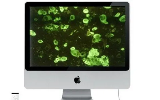 La prima botnet di Mac zombie è attiva?