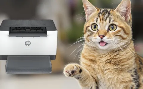 Stampante HP LaserJet M207dw: prestazioni top a un prezzo imbattibile
