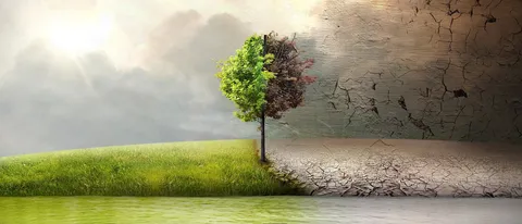 Before the Flood, il docufilm è in streaming