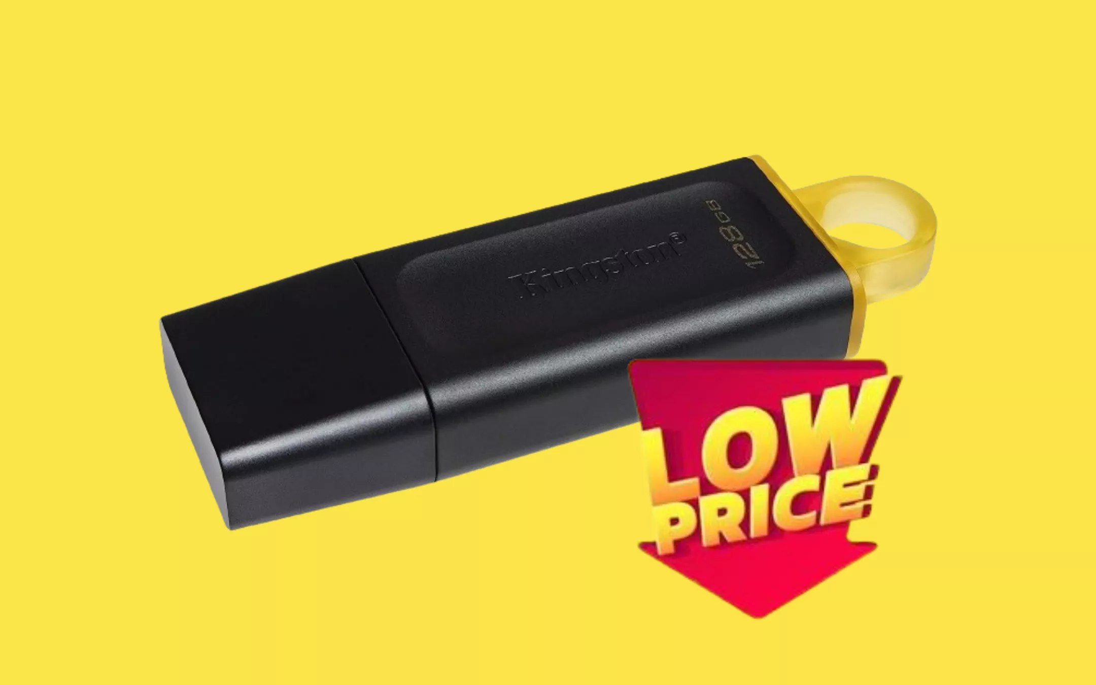 Oggi BASTANO 8 EURO per il Flash Drive USB Kingston da 128GB (-55%) -  Melablog