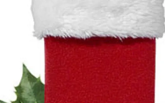 Calza di Natale per iPod