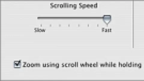 Nuova possibilità di Zoom con Mac OS X 10.4.8