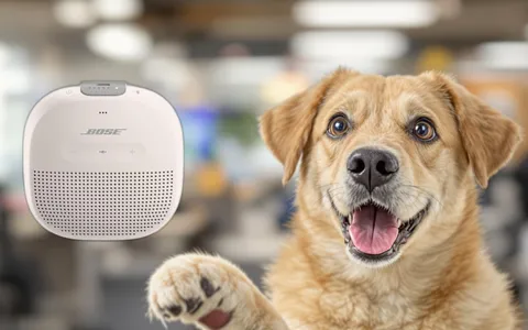 Diffusore Bose SoundLink Micro: qualità audio e massima portabilità in offerta top