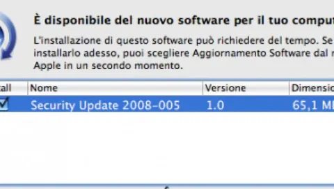 Security Update 2008-005
