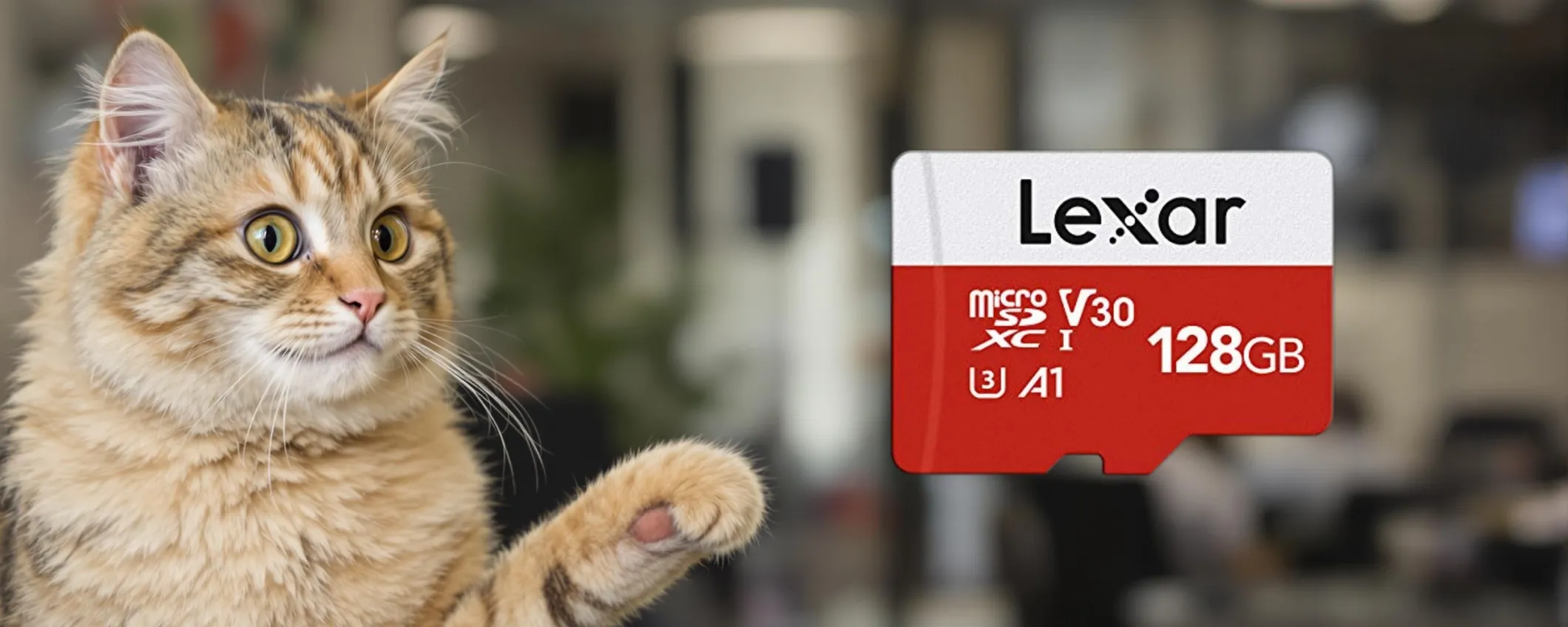 MicroSD Lexar: 128GB di memoria aggiuntiva al mini costo di 12€