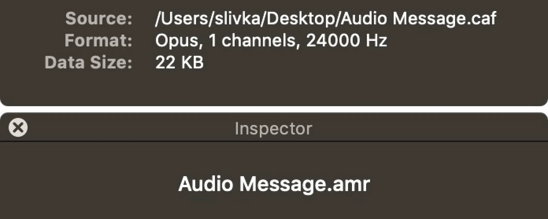iOS 12.2 - Migliora la Qualità degli AudioMessaggi