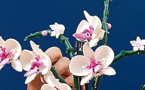 LEGO Orchidea: eleganza e creatività a portata di mano