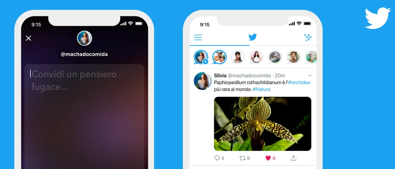 Twitter introduce i Fleet: i tweet spariscono dopo 24 ore