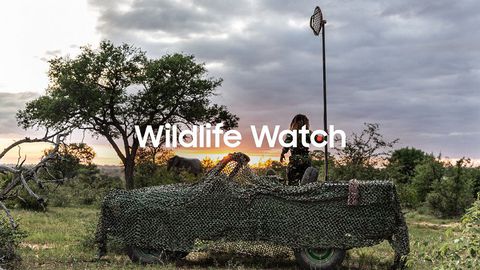 Samsung lancia Wildlife Watch, progetto di ranger virtuali contro il bracconaggio