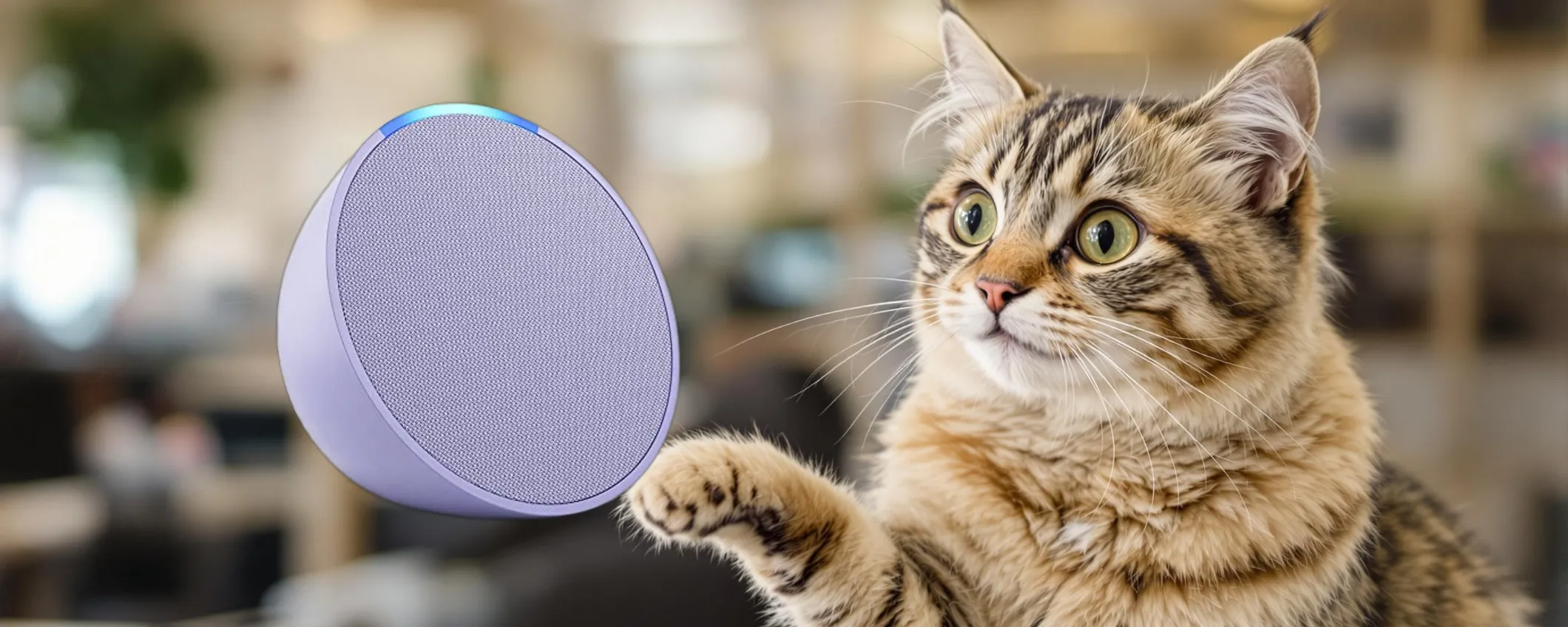 Echo Pop a prezzo stracciato con le Offerte di Primavera Amazon