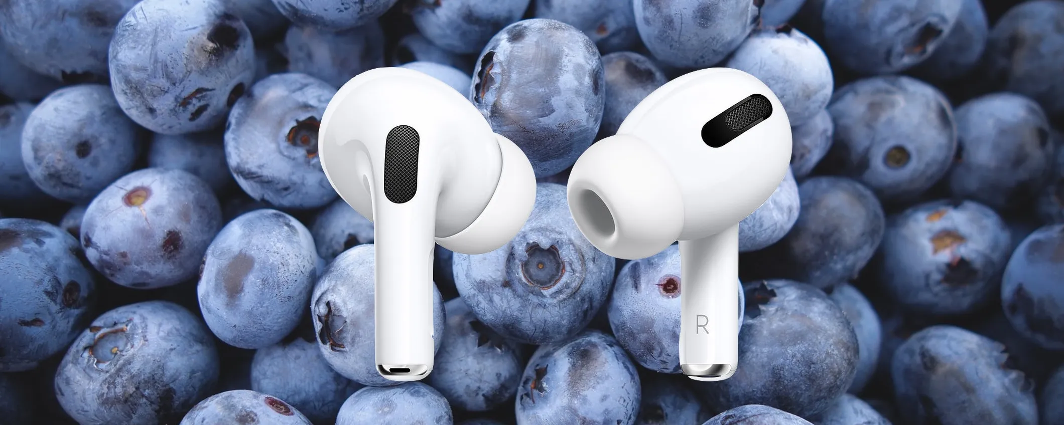AirPods Pro: all'apertura, odorano di mirtilli (ed è normale)