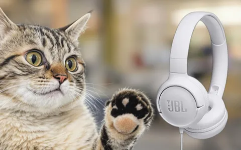 JBL Tune 500: comfort e audio di qualità a meno di 20 euro